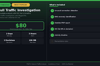analyze pcap files and investigate network traffic activity