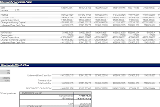 build financial model cash flow forecast and business valuation