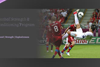 create a strength and conditioning program