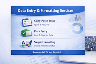do fast data entry, copy paste, excel clean up and typing task