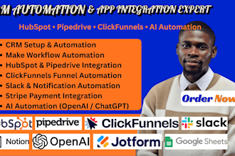 hubspot pipedrive clickfunnel slack notion googlesheet stripe integration openai