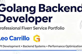 high performance golang API development