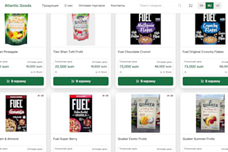 a full stack web app