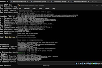 configure your VPN, network, software and provide expert IT support