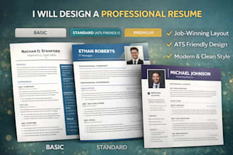 design a professional resume and CV