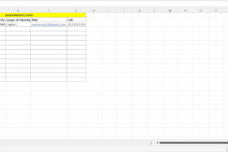 data entry, conversione PDF e gestione fogli excel in modo preciso e veloce