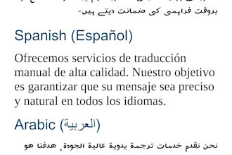 provide professional translation in multiple languages
