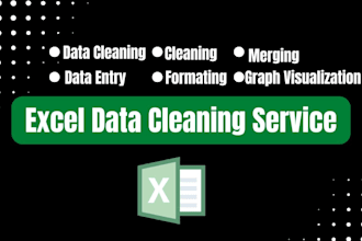 do professional excle data entry , and data cleaning and spreadsheet formatting