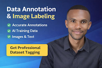 accurate data annotation, image labelling, and ai dataset tagging