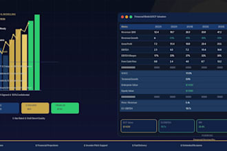 build professional financial model, valuation and business analysis for you