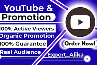 do organic USA promotion, USA youtube video promotion