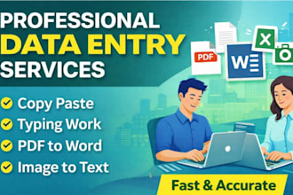 fast and accurate data entry, copy paste and typing work