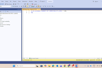 fix aspnet core dot net csharp backend or api bugs