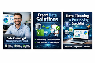 do data management , data cleaning on excel