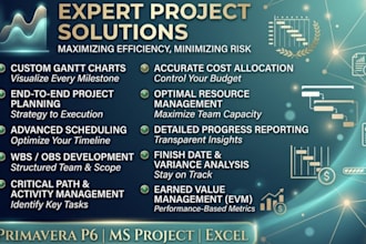 do project scheduling gannt chart cashflow using primavera p6