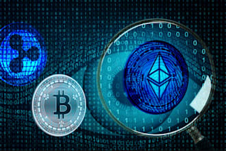 conduct blockchain forensic, uncover cybercrime, wallet analysis investigations