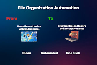 build a script that organizes your files automatically