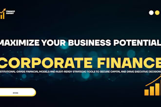 provide expert corporate finance strategy and advisory
