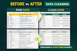 clean, format and organise your excel or CSV data professionally