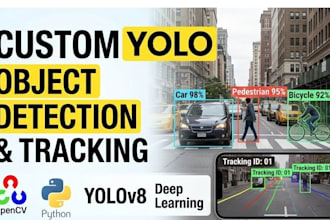 build a custom yolo object detection and tracking system