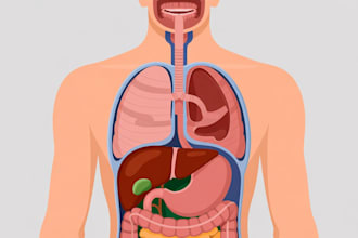 create professional 2d medical illustrations and medical explainer videos