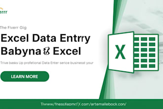do accurate excel data entry, data cleaning and excel formulas