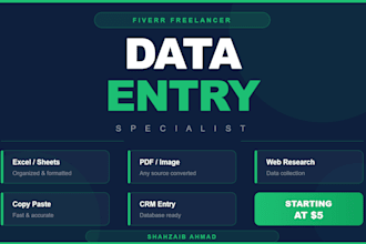 do fast and accurate dataentry, excel, copy paste and web research