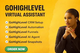 gohighlevel virtual assistant for gohighlevel real estate agency website funnel