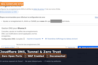 configure cloudflare dns, tunnel, and zero trust for your domain