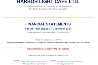 prepare professional financial statements and ifrs reports