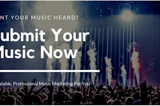 professionally campaign and submit your music to  record labels to get you sgned