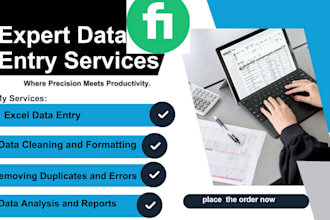 do data cleaning organizing and excel data formatting,