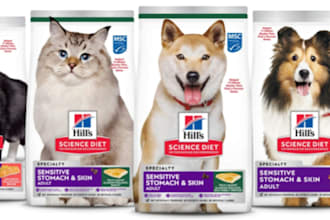 formulate pet skin care pet food and supplement formulation chemist