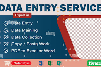 do professional data entry data collection web scarping excel data data cleaning