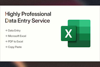 do data entry, data scraping, excel, copy paste, pdf to excel