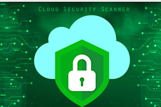 perform nmap port scanning and basic security assessment for your website
