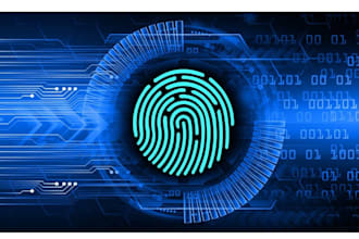 provide digital forensics consultation and cyber investigation guidance