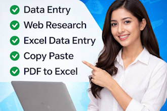 do accurate data entry, web research and excel data entry