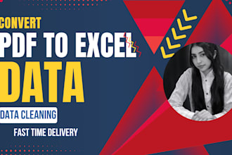 convert pdf to excel, data cleaning in 24hrs
