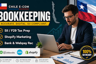 do business bookkeeping tax filing and ecommerce marketing for chile stores
