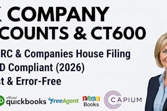 prepare and file UK company accounts and ct600 with company house and hmrc