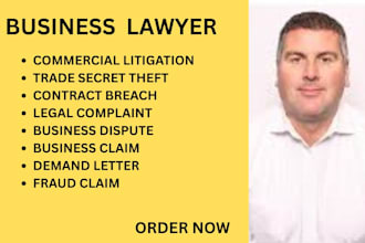 draft commercial litigation complaints for fraud claims and trade secret theft