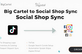 connect your big cartel shop to tiktok shop instagram