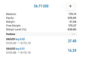 forex trading robot forex ea bot  gold ea robot scalping xauusd bot gold ea bot