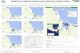 create professional gis maps and satellite imagery analysis
