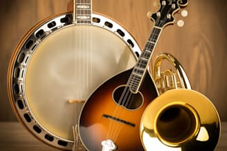 provide madoline,brasshorn,fiddle to your track