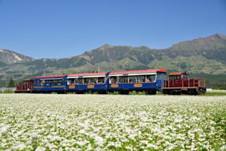 make an personalized itinerary for your kyushu trip