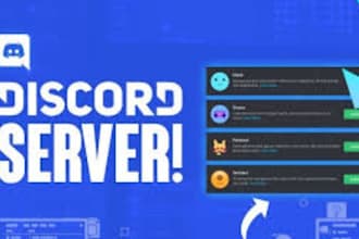 setup a professional discord server with bots and roles