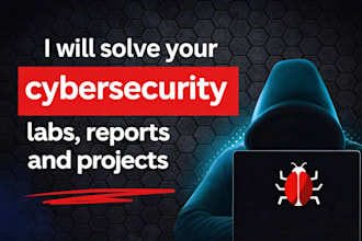 solve your cybersecurity labs, reports and projects