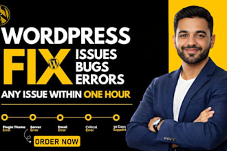 quickly debug, fix wordpress bugs, errors and fix  wordpress theme issue
